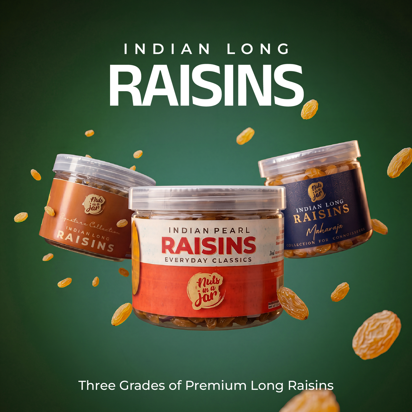 Indian Long Raisins 250g