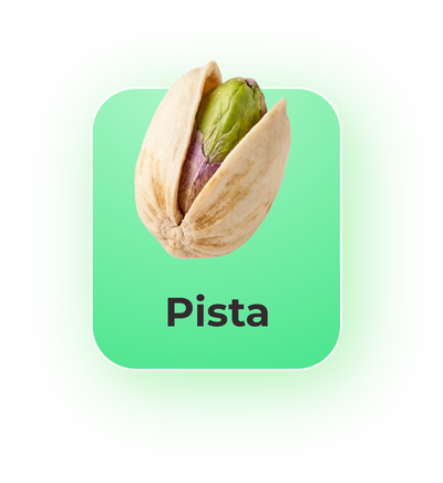 Pista